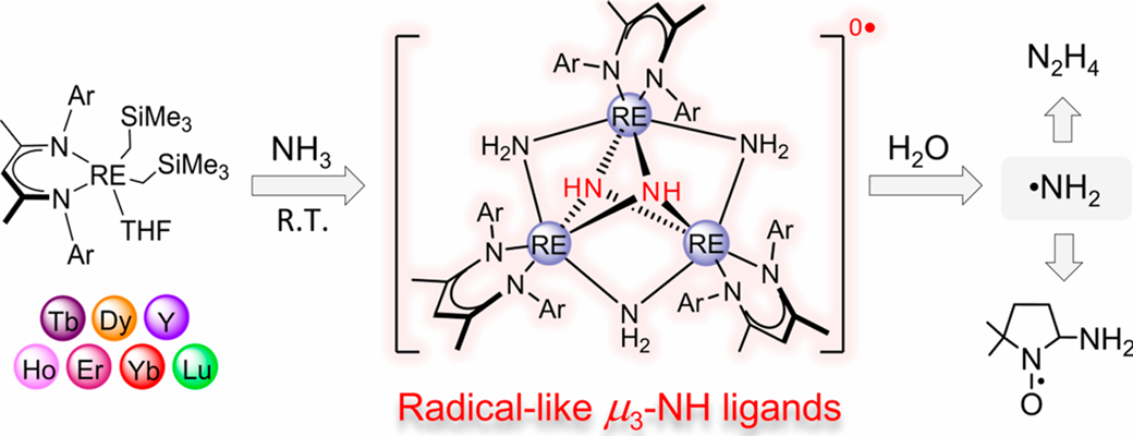 南开大学房华毅JACS：二烷基稀土配合物介导NH₃在环境条件下形成类自由基NH配体