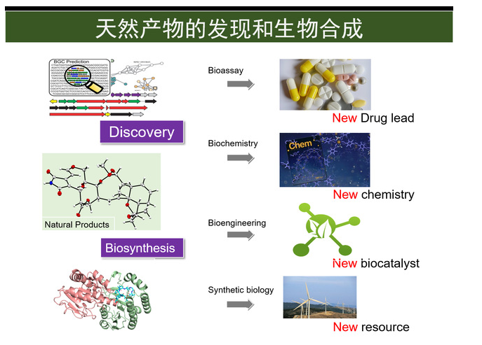 天然药物合成生物学技术策略