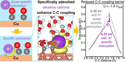 电化学CO2还原中K+离子特异性吸附对C-C偶联的增强作用