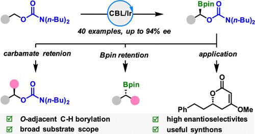 兰州化物所徐森苗/中山大学柯卓锋团队以铱催化实现掩蔽伯醇的对映选择性α-C(sp3)–H硼酸化