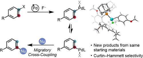 哈佛大学Richard Y. Liu团队在JACS发表创新研究：位点转移芳基交叉偶联反应