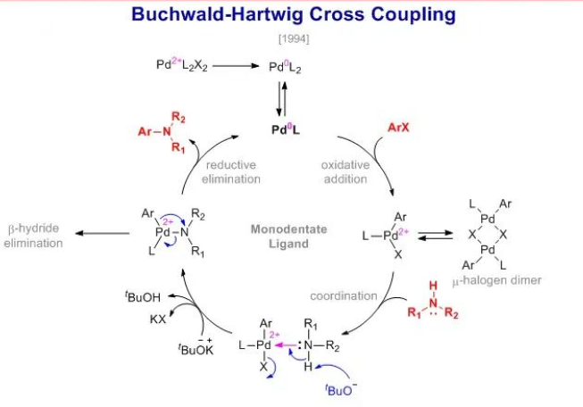 Buchwald–Hartwig偶联反应！