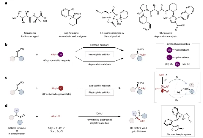 Nature Chemistry |C=N键的不对称aza-Barbier反应