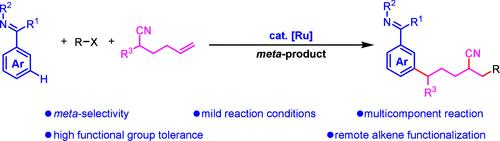 四川师大潘菲：钌通过氰基迁移和间位-C(sp2)-H官能化催化非活性烯烃的远程三官能化