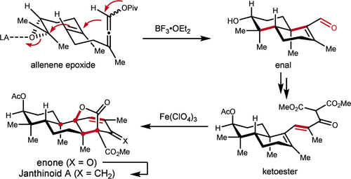 【JACS】北大杨震/张仲超：Janthinoid A 的不对称全合成