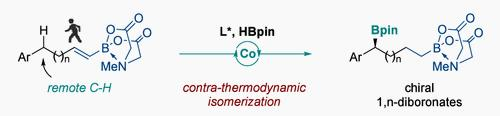 【Org. Lett.】贵州大学药学院研究团队报道：对映选择性钴催化烯基硼化合物的远程硼氢化反应