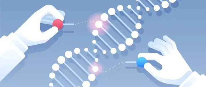 生信分析工具如何赋能医学研究？应用方向与案例解析