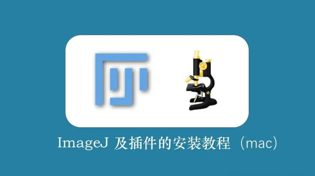 科研图像处理工具Image J安装与页面详解！免费下载，解压即用！