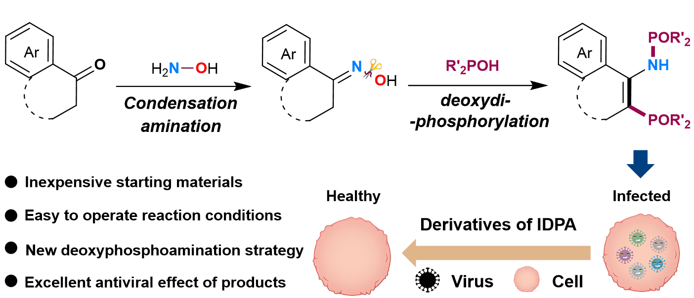 【JACS】基于自由基介导脱氧磷酰胺化策略的新型抗病毒药物合成与开发