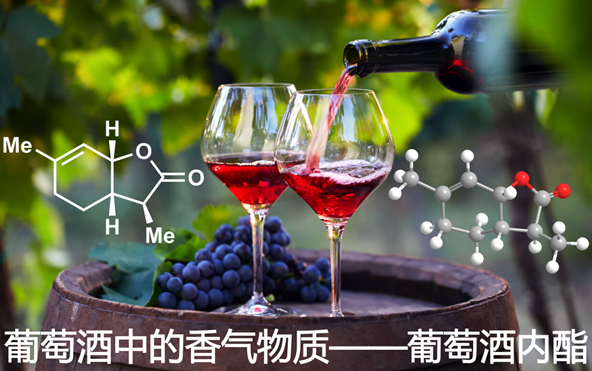 科学解密葡萄酒中的香气物质——葡萄酒内酯（Wine lactone）！